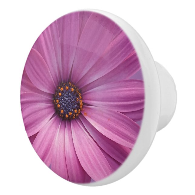 Colourful Medley of African Daisies Flowers Ceramic Knob (Right)