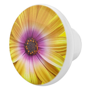 Colourful Medley of African Daisies Flowers Ceramic Knob