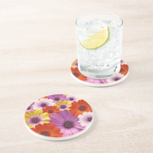 Colourful Medley of African Daisies Flowers Coaster