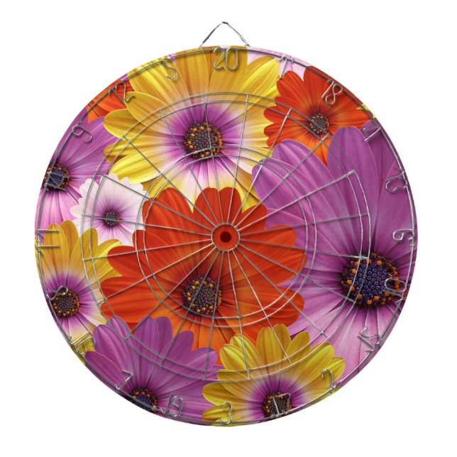 Colourful Medley of African Daisies Flowers Dartboard (Front)
