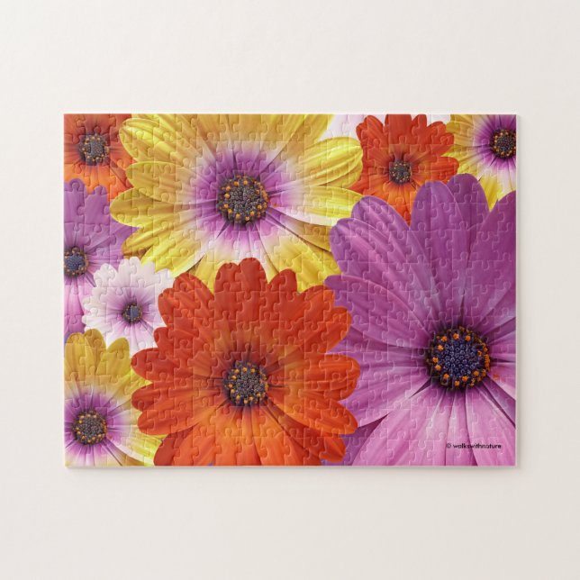 Colourful Medley of African Daisies Flowers Jigsaw Puzzle (Horizontal)