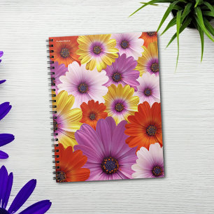 Colourful Medley of African Daisies Flowers Notebook