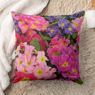 Colourful Medley Pink Blue Purple Primula Flowers Cushion