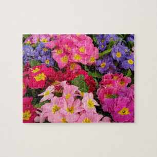 Colourful Medley Pink Blue Purple Primula Flowers Jigsaw Puzzle