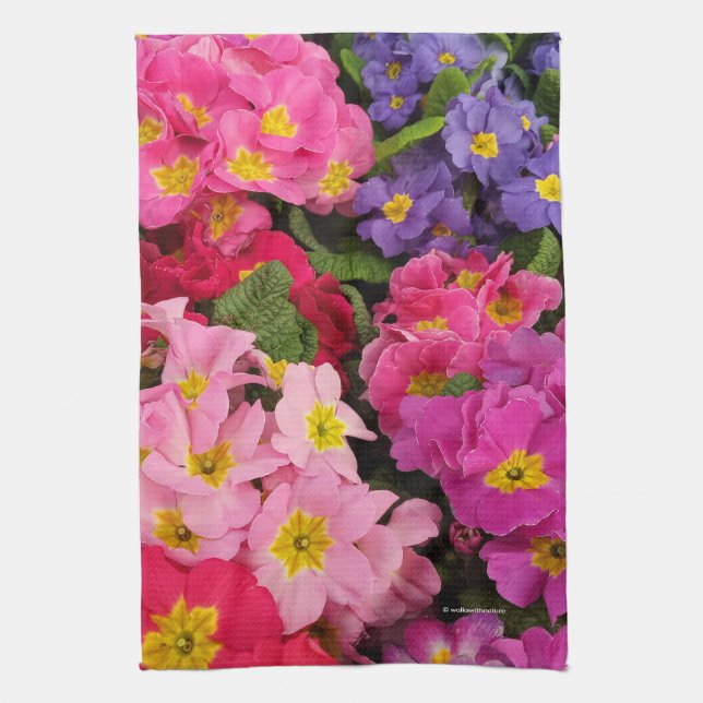 Colourful Medley Pink Blue Purple Primula Flowers Tea Towel (Vertical)