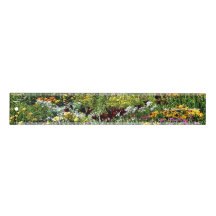 Colourful Mid Summer Garden