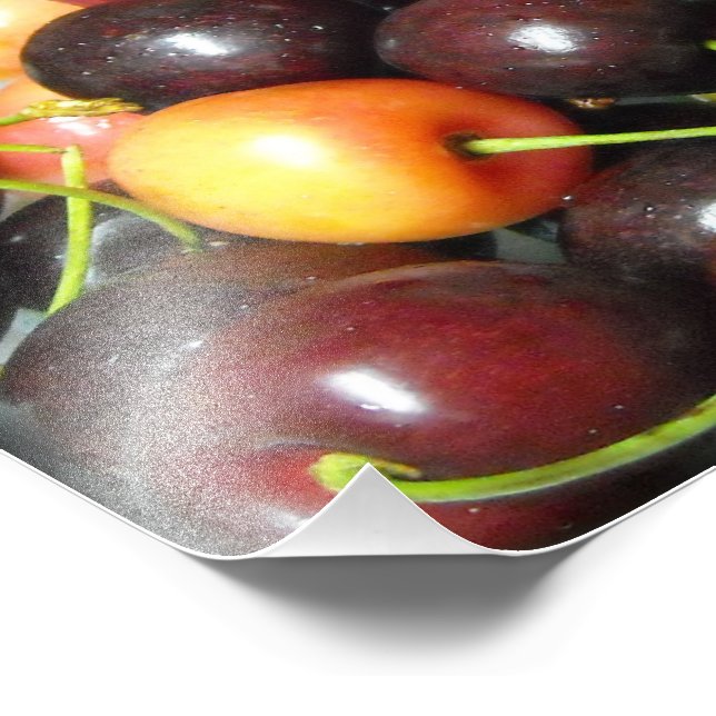 Colourful Mixed Cherries Food Photography Prints (Corner)
