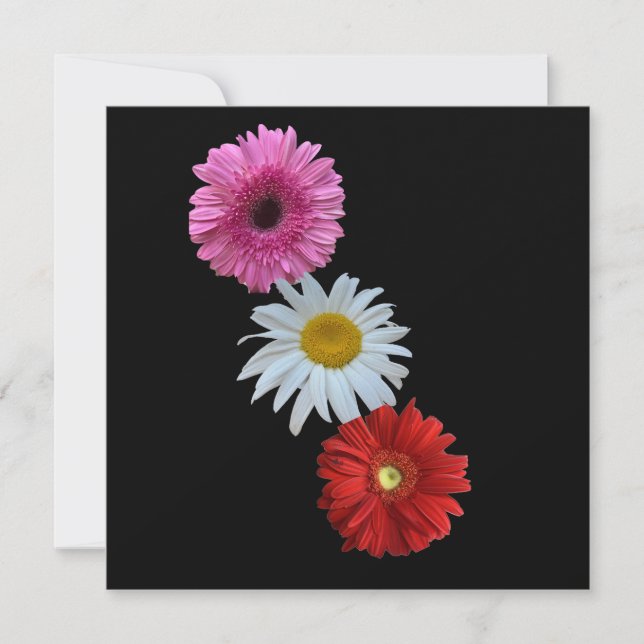 Colourful Mixed Floral Daisy Flat Note Card (Front)