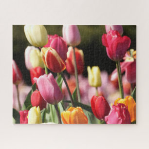 Colourful Mixed tulips in the garden Jigsaw Puzzle
