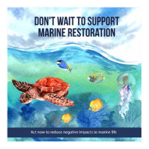 Colourful Modern Protect Marine Life Quote