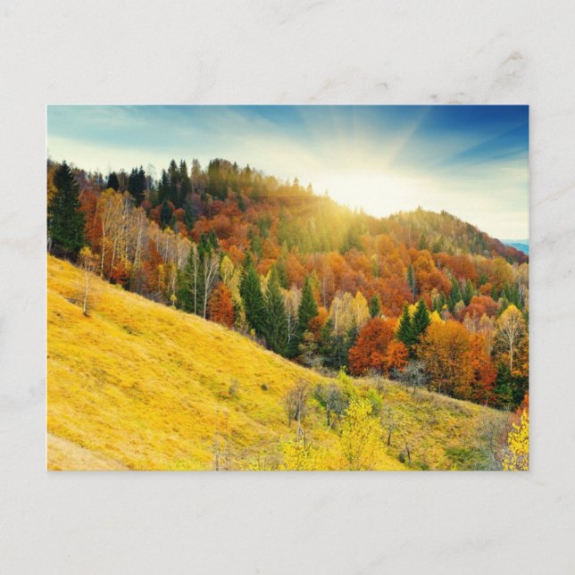 Colourful mountain autumn landscape postcard (Front)
