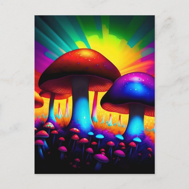 Colourful mushroom forest  postcard (Front)