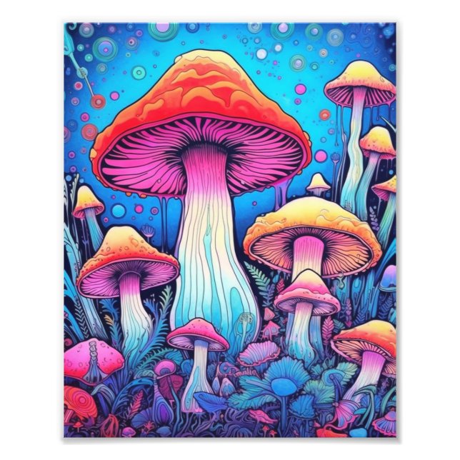 Colourful Mushroom Fungi | Hard Challenging Photo Print (Front)