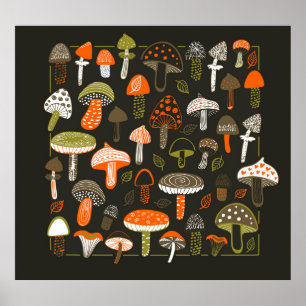 Colourful Mushrooms: Fairy Collection Poster
