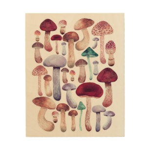 Colourful  Mushrooms Watercolor illustration   Wood Wall Art