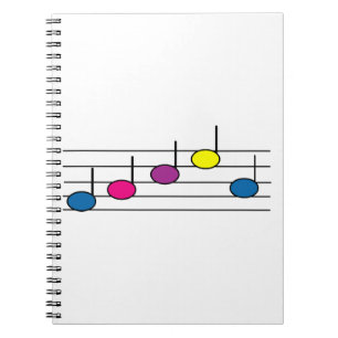Colourful Music Notes for Musicians & Music Lovers Notebook
