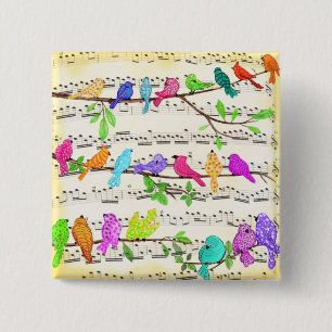 Colourful Musical Birds Symphony Button Happy Song