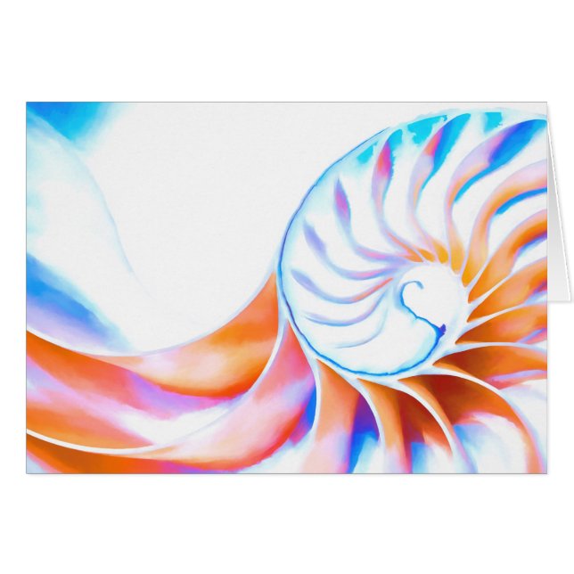 Colourful Nautilus (Front Horizontal)