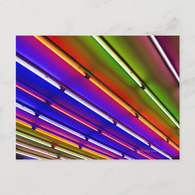 Colourful neon tubes at shop entrance postcard (Front)
