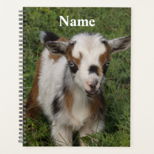 Colourful Nigerian Dwarf Dairy Goat Kid Planner