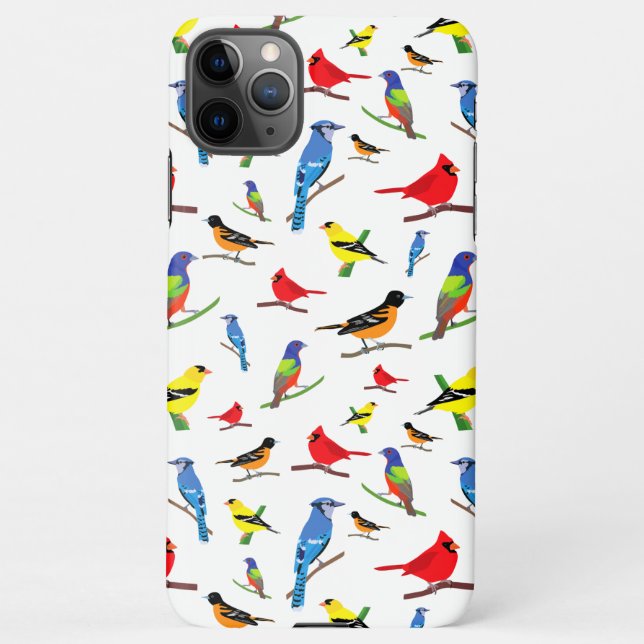 Colourful North American Birds Pattern iPhone Case (Back)