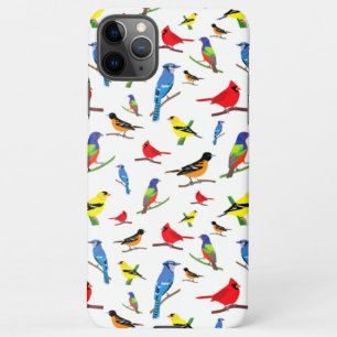 Colourful North American Birds Pattern iPhone 11Pro Max Case