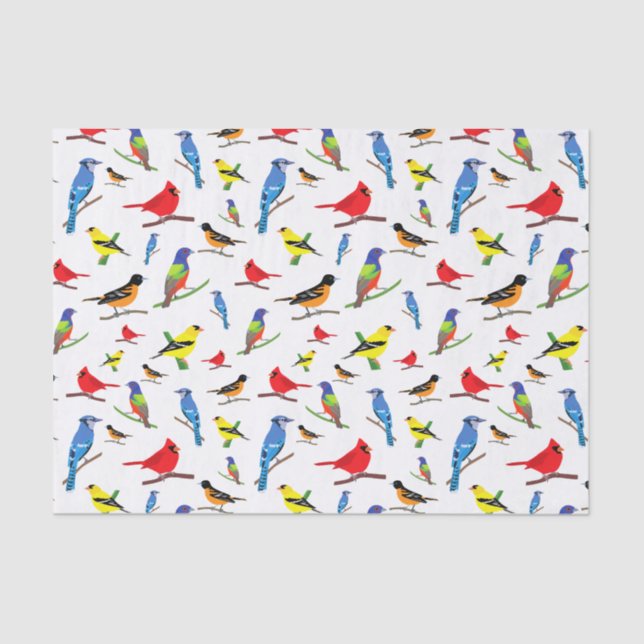 Colourful North American Birds Pattern Napkins Tissue Paper (Front)
