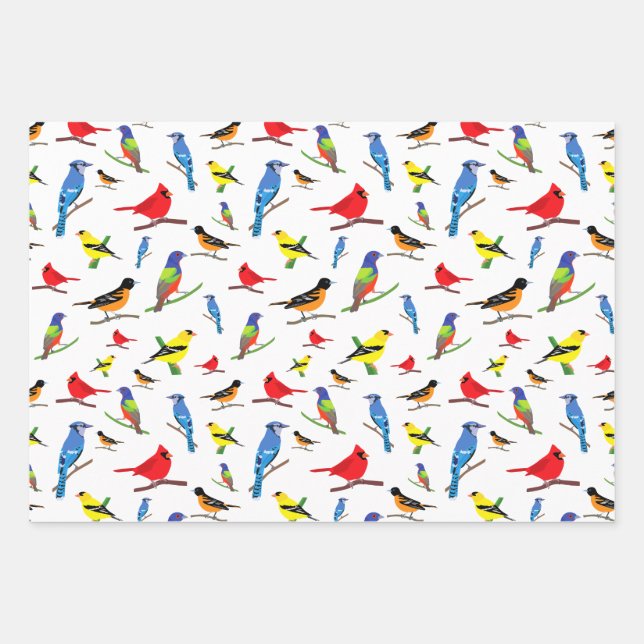 Colourful North American Birds Pattern Wrapping Paper Sheet (Front)