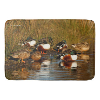 Colourful Northern Shoveler Ducks in the Marsh Bath Mat