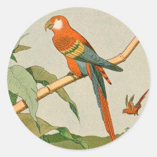 Colourful Orange Parrot on Bamboo Classic Round Sticker