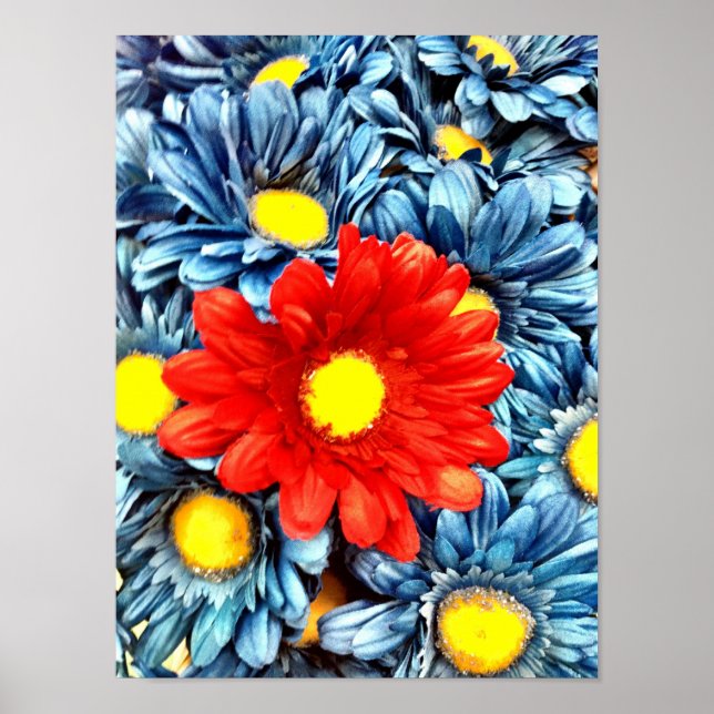 Colourful Orange Red Blue Gerber Daisies Flowers Poster (Front)