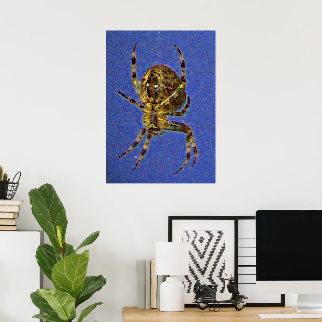 Colourful Orb Spider  Poster (Home Office)