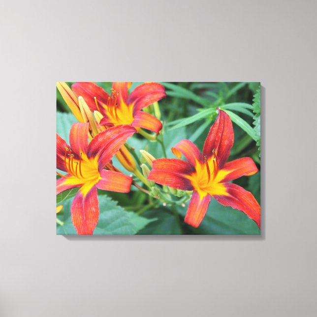 Colourful Orchids Canvas Print (Front)