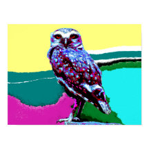 Colourful Owl on a post Posterisation