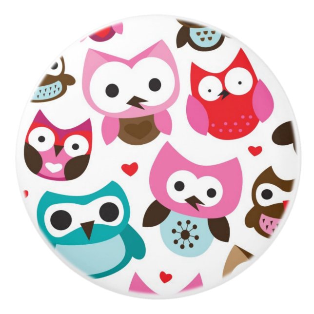 colourful owl pattern ceramic knob (Front)