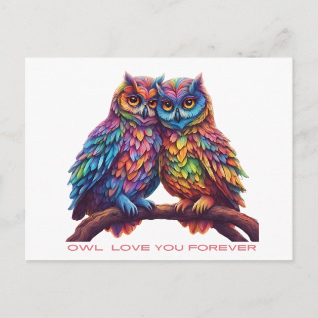 Colourful Owls-Love Birds-Valentine's Day  Postcard (Front)