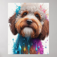 colourful paint splash cockapoo