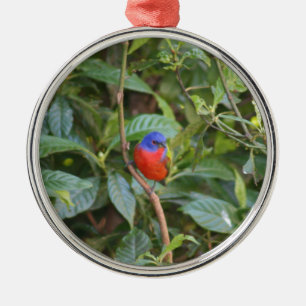 Colourful Painted Bunting Bird Metal Tree Decoration