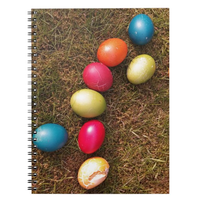 Colourful Painted Eggs in Garden, Easter Egg Notebook (Front)