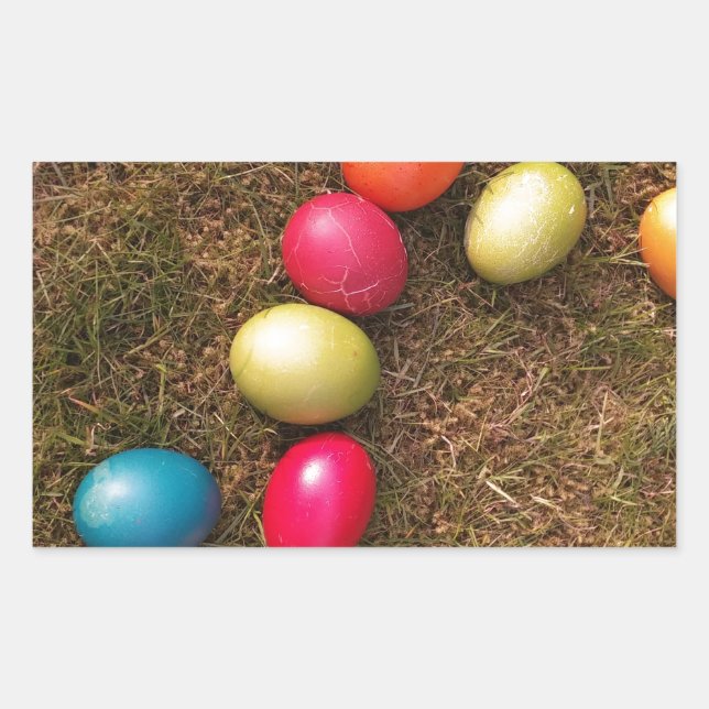 Colourful Painted Eggs in Garden, Easter Egg Rectangular Sticker (Front)