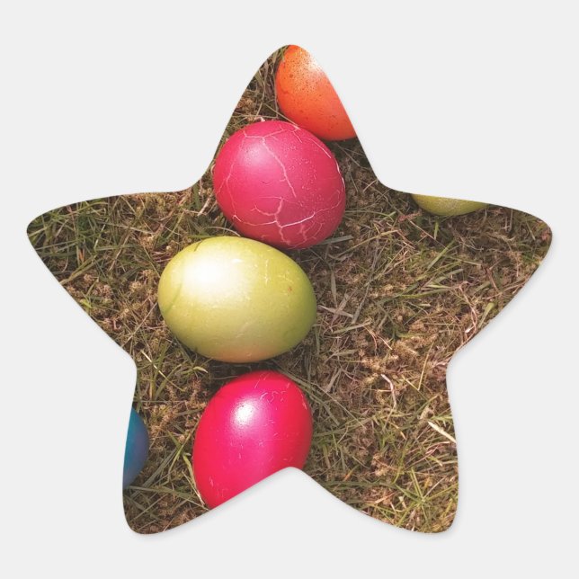 Colourful Painted Eggs in Garden, Easter Egg Star Sticker (Front)