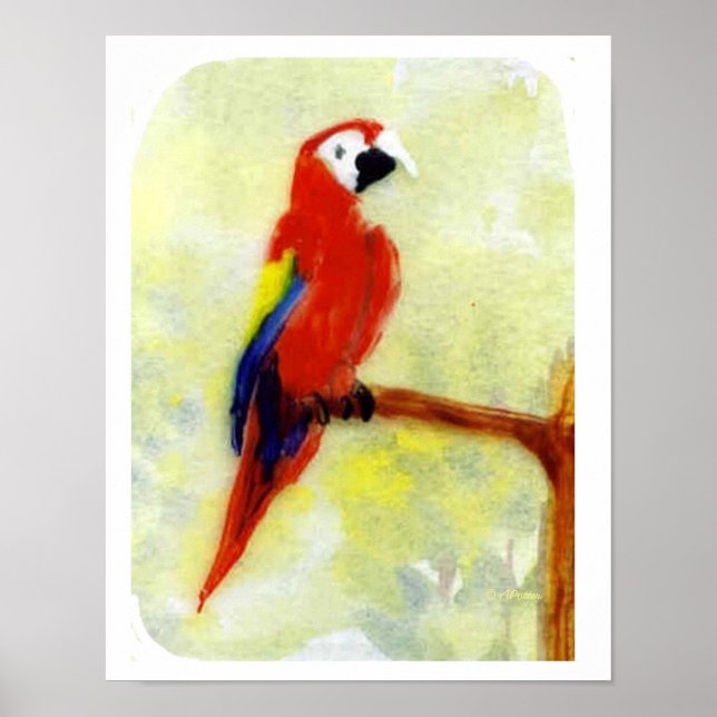 Colourful Painting Macaw Parrot Poster (Front)