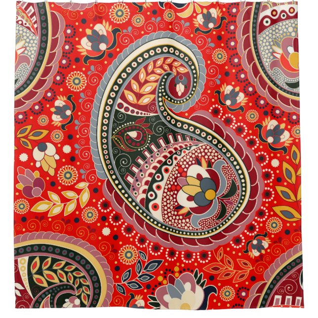 Colourful Paisley Indian Seamless Pattern Shower Curtain (Front)