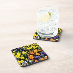 colourful pansies coaster