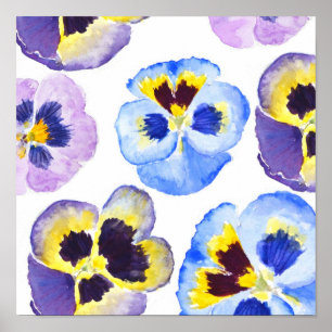 Colourful pansies collection watercolor painting poster