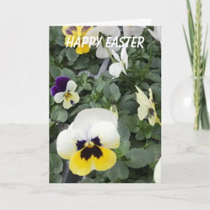 Colourful Pansies Easter Holiday Card