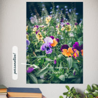 Colourful pansies in a summer country garden