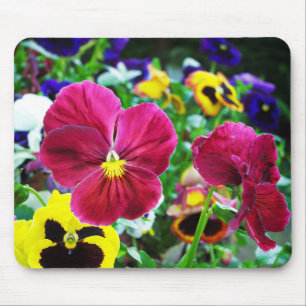 Colourful Pansies Mouse Mat