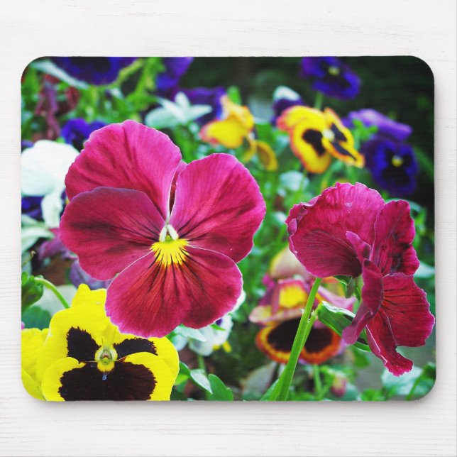 Colourful Pansies Mouse Mat (Front)