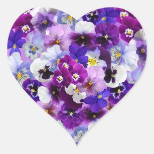 Colourful Pansies, Pretty Flowers,  Heart Sticker
